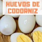 Qu&eacute; es la tapioca y para qu&eacute; sirve