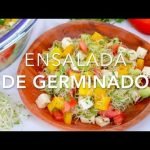 Receta de Ensalada de pulpo r&aacute;pida