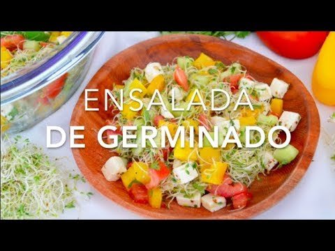 Receta de Ensalada de germinado de alfalfa