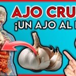 C&oacute;mo cocinar tofu  17 recetas