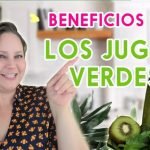 C&oacute;mo aprovechar el pan duro  Recetas y trucos