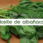 Receta de Lasaña de berenjena y champiñones 17 Receta de Lasaña de berenjena y champiñones