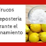 Qu&eacute; es la tapioca y para qu&eacute; sirve
