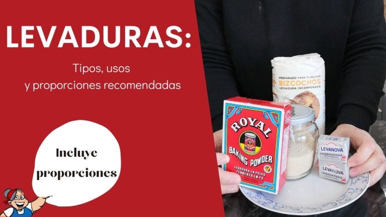 Qué es la levadura  Tipos usos y diferencias