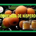 Receta de Tarta de quesitos y cuajada con Thermomix