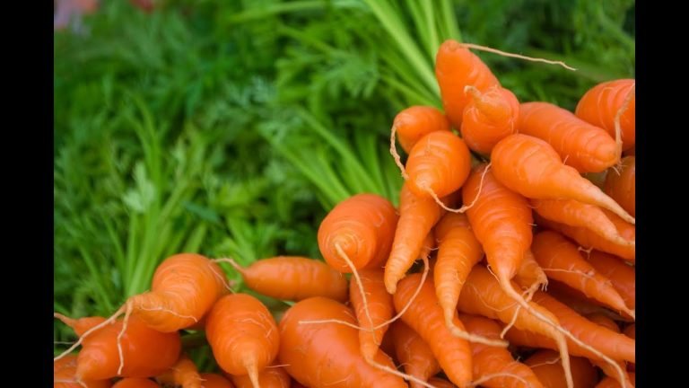 Jugo de zanahoria  Para qué sirve beneficios y receta