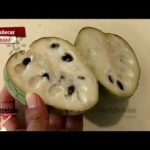 Receta de Pastel de gelatina mosaico