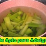 Atole de galleta Mar&iacute;a