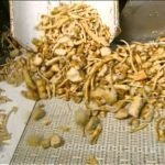 Recetas de marisco para Navidad
