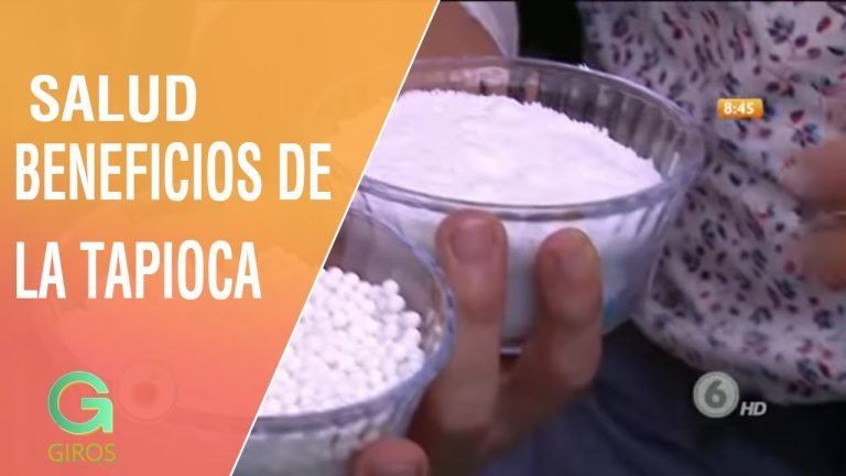 Qué es la tapioca y para qué sirve