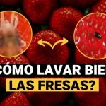 67 desayunos veganos